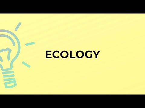 What is the meaning of the word ECOLOGY?