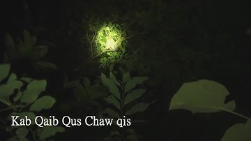 Mus yos hav zoov kab qaib qus 2019