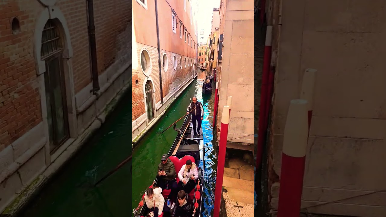 Venice 15.02.2026 #venice #carnival #travel #italy #luxury #cruiseship #2026 #shorts #polska #poland