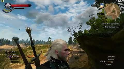 Witcher 3 bad graphics at max settings