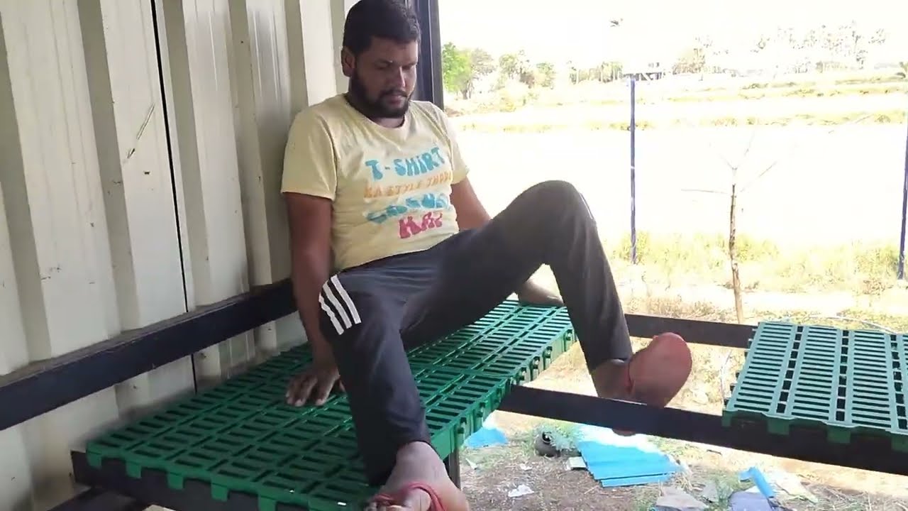 గొర్ల ఫామ్ ట్రై వెయ్యడం