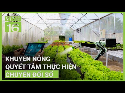 Khuyến nông quyết tâm thực hiện chuyển đổi số | VTC16