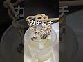 ドライアイスとエタノールでいろんなものを凍らせたよ #理科 #実験 #自由研究 #ドライアイス