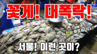 경동 수산 어시장 몽땅 2천원? 그냥 막 퍼준다! 천원 한장도 푸짐! 24.1.12 최신 정보 긴급 공개! Korean fish market channel