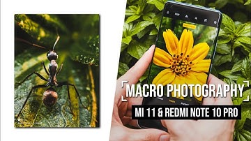 Amazing😍🤩👍 photo📷 click on Xiaomi 11 pro ⚡🔥#shorts #shortsfeed #smartphone #cameratest #photography