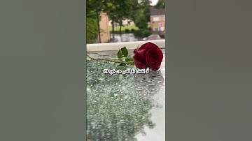 الشيخ احمد العجمي     سوره الغاشيه