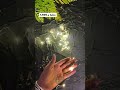تفاصيل المنتـج نشره ضوئيه ناعمه اضاءه قويه طولها ٣ متر ٢٠٢٣٠٥٢٩ ١٥٠٣١٤ مكتبة الابداع نشرة