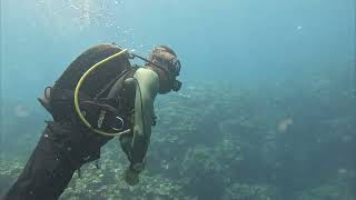 From Train Station to Tropical Waters | Scuba Diving in Ishigaki
