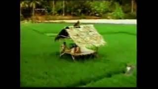 Station ID RCTI versi Sawah (2000, revisi 1994)