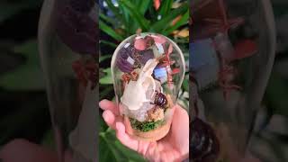 One Of A Kind Curio Capsule