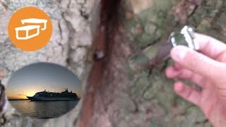 Birthday Geocaching - 9 Stage Multi Cache + Cruise Ship