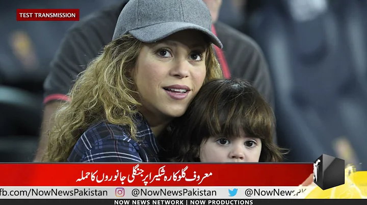 Shakira attacked by a pair of wild boars in Barcelona