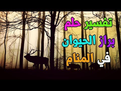 طريقة عمل صحن حمص بالطحينة للشيف ندى اليحيى بمذاق رائع Youtube