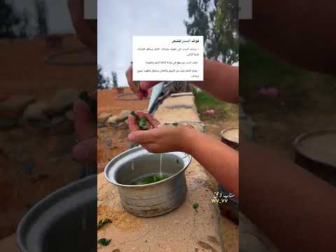 طريقة استخراج الصابون من السدر تجارب لاحق   