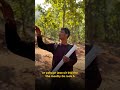 pachmarhi trek with my friends and students? #pachmarhitrip