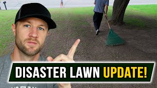 Friend's DISASTER of a Lawn UPDATE! (12 days + 1 Month)