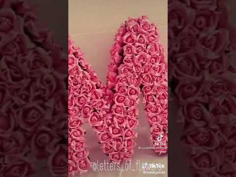 بما أن الحب غرام اعملوا لايك و اشتراك للقناه 