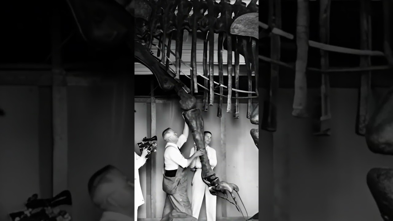 Revived  Retro photo  