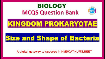 Size and Shape of Bacteria #sizeoandshapefbacteria  #Prokaryotes #mdcat2023 #nums2023 2023 #etea2023