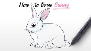 How to Draw a Bunny (Easter, Rabbit, Hare) Step By Step screenshot 5