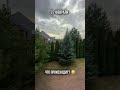 Столичная актуалочка