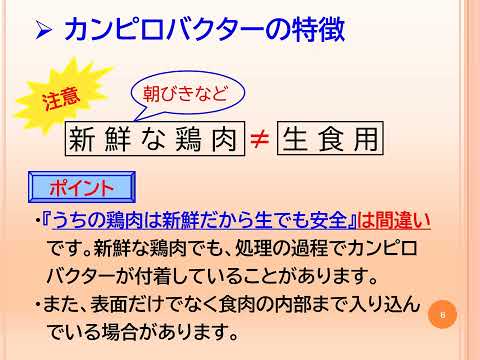 カンピロバスターズ『お勉強編（簡易版）』怖～いカンピロバクター食中毒とその予防