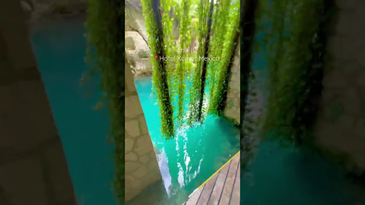 Лента Black Girl Luxury Travel 