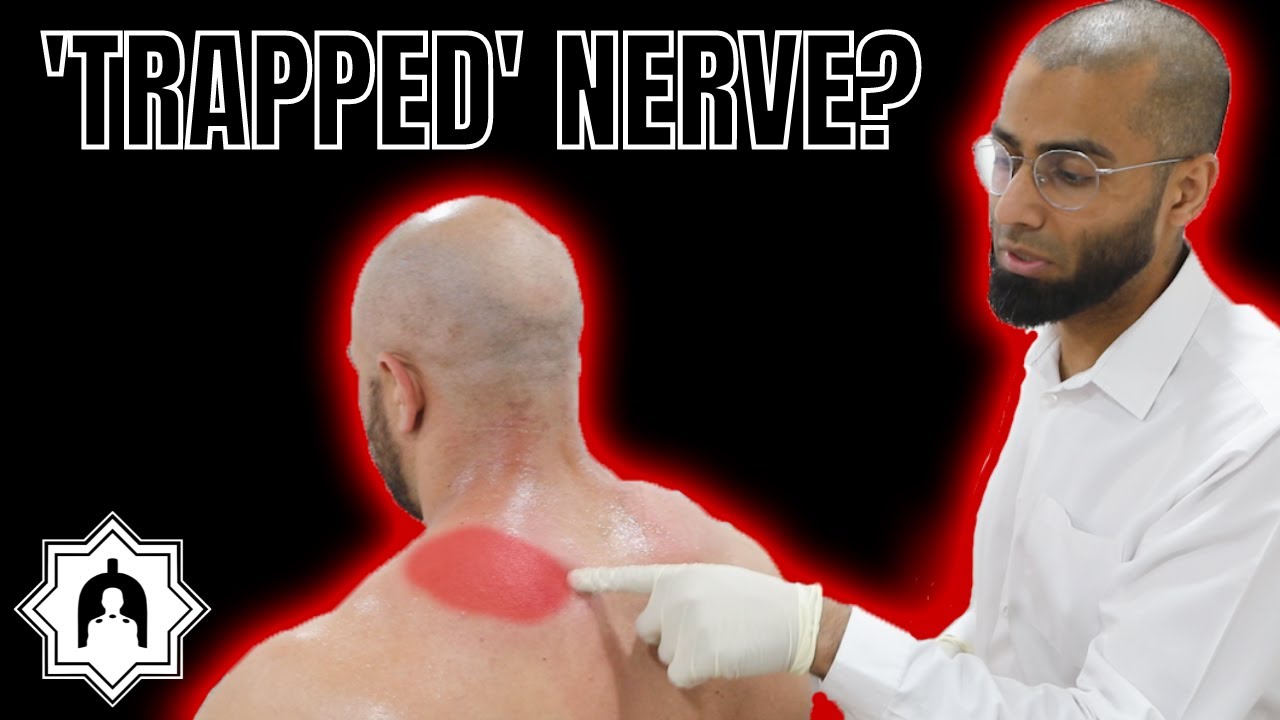 Bodybuilder's Pulled Trap is REVEALED with SCRAPING! YouTube