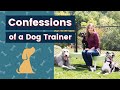 Dog Trainer Tips and Confessions Every Puppy Owner Needs to Hear