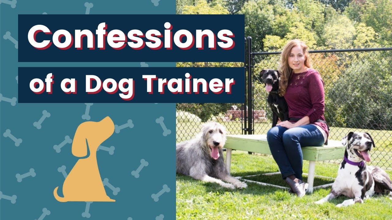 Dog Trainer Tips and Confessions Every Puppy Owner Needs to Hear
