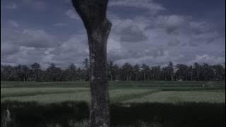 Bali, 2015 [Videography]