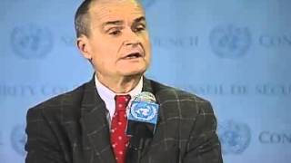 Gérard Araud (French Ambassador to the UN) Talks To Press After UNSC Emergency on DRC-Nov 17, 2012