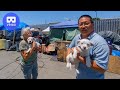 Oakland Tent City Homeless Encampment in VR180