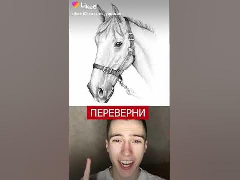 картинка перевертыш - YouTube
