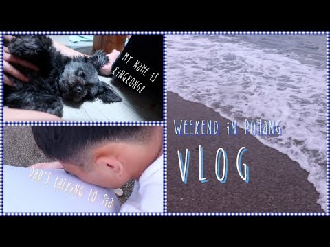 [VLOG] 싱싱한 회 먹으러 친정 | 첫 태동 | <strong>포항</strong> 산후조리원 계약 | 이발소 첫경험(K-바버샵) | <strong>물회</strong> 먹방