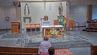 Daily Mass, Monday, July 13, 2026