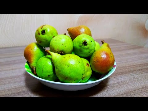 Как приготовить компот из груш в домашних условиях
