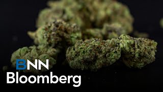 Trulieve Q4 results, U.S. cannabis market outlook