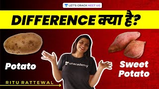 Potato और Sweet Potato में Difference क्या है? 🤔 | Ritu Rattewal