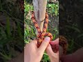 Tips Simple but Strong Knot !