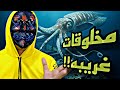 رحله الى قلب المحيط اغرب المخلوقات البحريه جوكرjo 