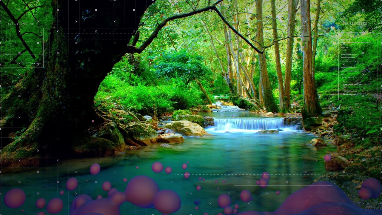 Sounds in the Sand - Lonely Eden