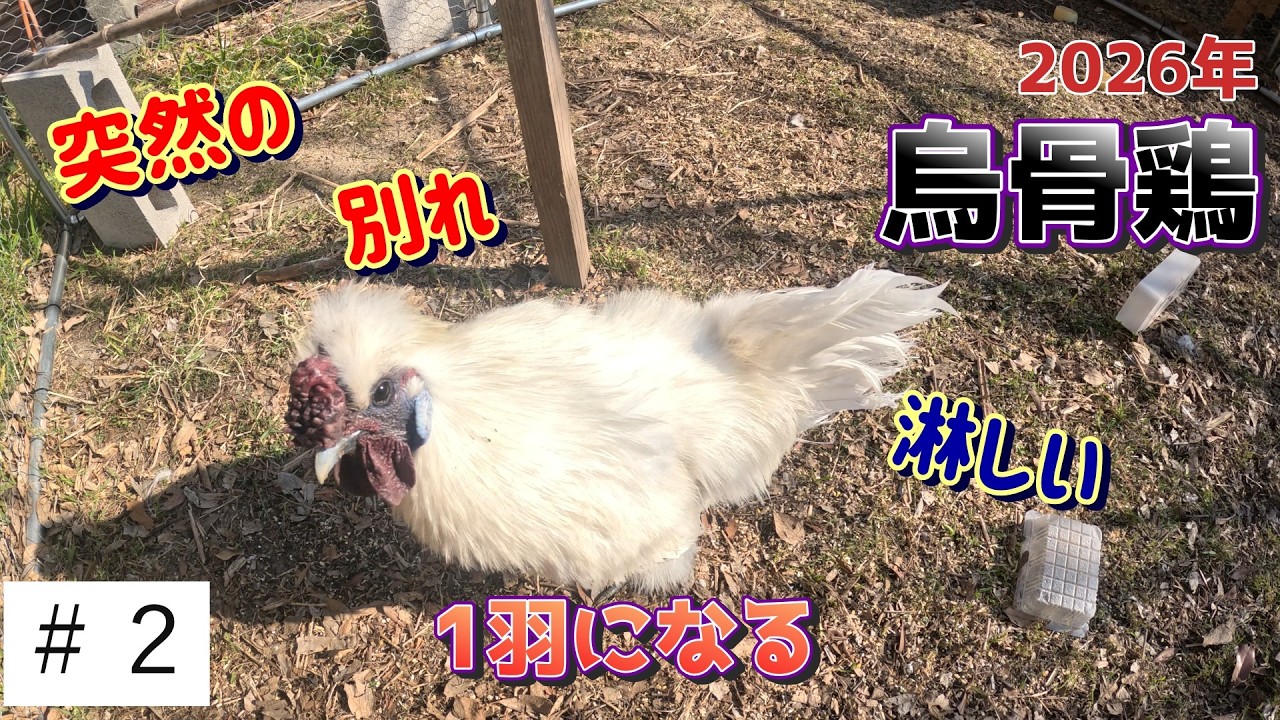 突然の別れ・・・たまには会いに行きます