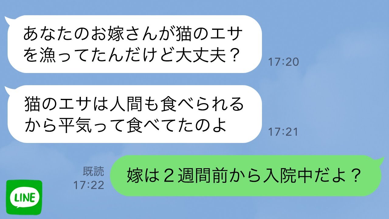 【LINE】里帰り出産中の嫁が猫のエサを食べていた→息子「嫁は今入院中だよ」この裏には恐ろしい事実が隠されていて…