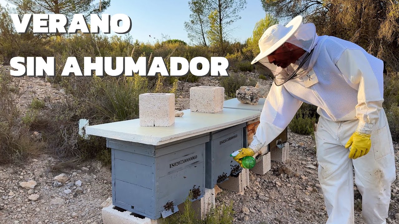 🐝 Revisar Colmenas sin Ahumador en Verano🔥: ¿Funciona el Spray con Menta?