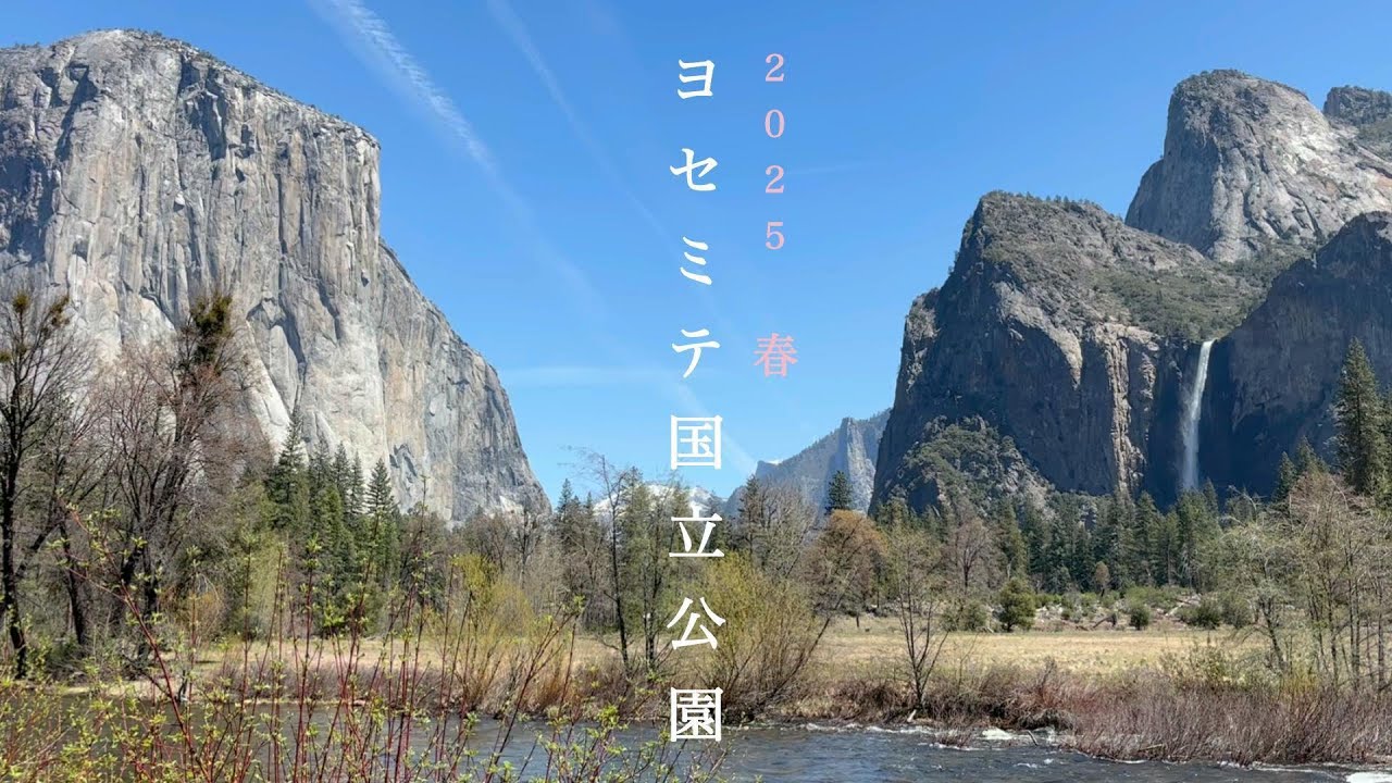 春のヨセミテ国立公園2日間｜ミラーレイク｜トンネルビュー｜ヨセミテ滝｜camp4