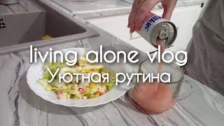 : Silent vlog:  ,   ,  ,  )