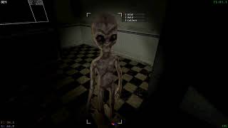 Having A Nice Night Walk In Voices Of The Void