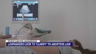 Famous Senator plans to file bill adding exceptions to Tennessee abortion law, remove 'affirmative defense' Net Worth