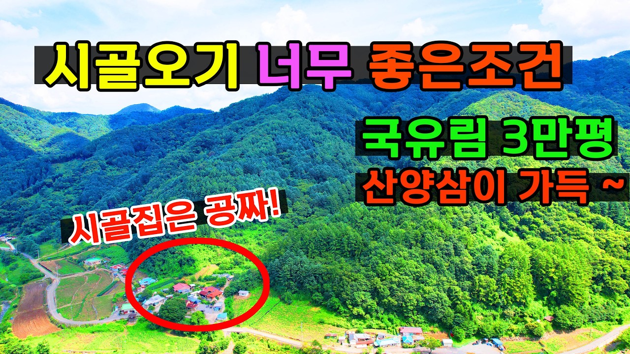 (급매매) 시골집 ⭐구옥이 공짜⭐ 입니다~ 집앞 계곡물에 산양삼 3만평 임야까지 대박매물